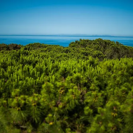 Hotel Park Marinetta - Beach & Spa